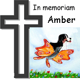 Memoriam Amber