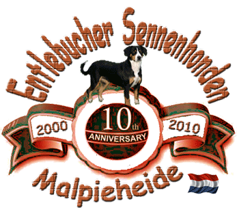 Kennel van de Malpieheide ethical dog breeder