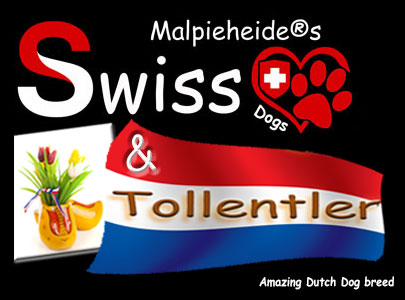 Swiss Tollentler