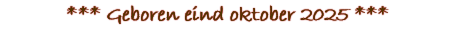*** Geboren eind oktober 2025 ***     